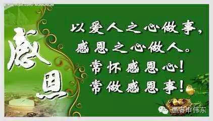涤太太家人“回家”计划