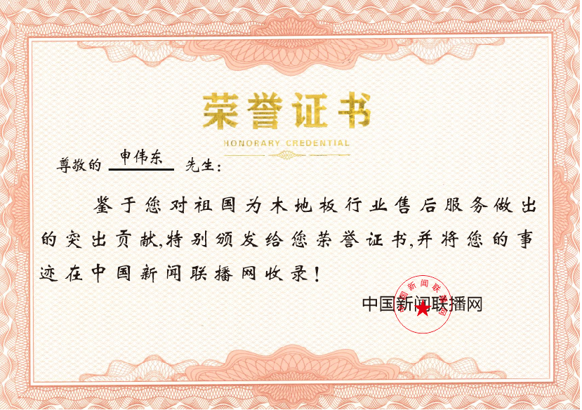 中国新闻联播网木地板行业突出贡献